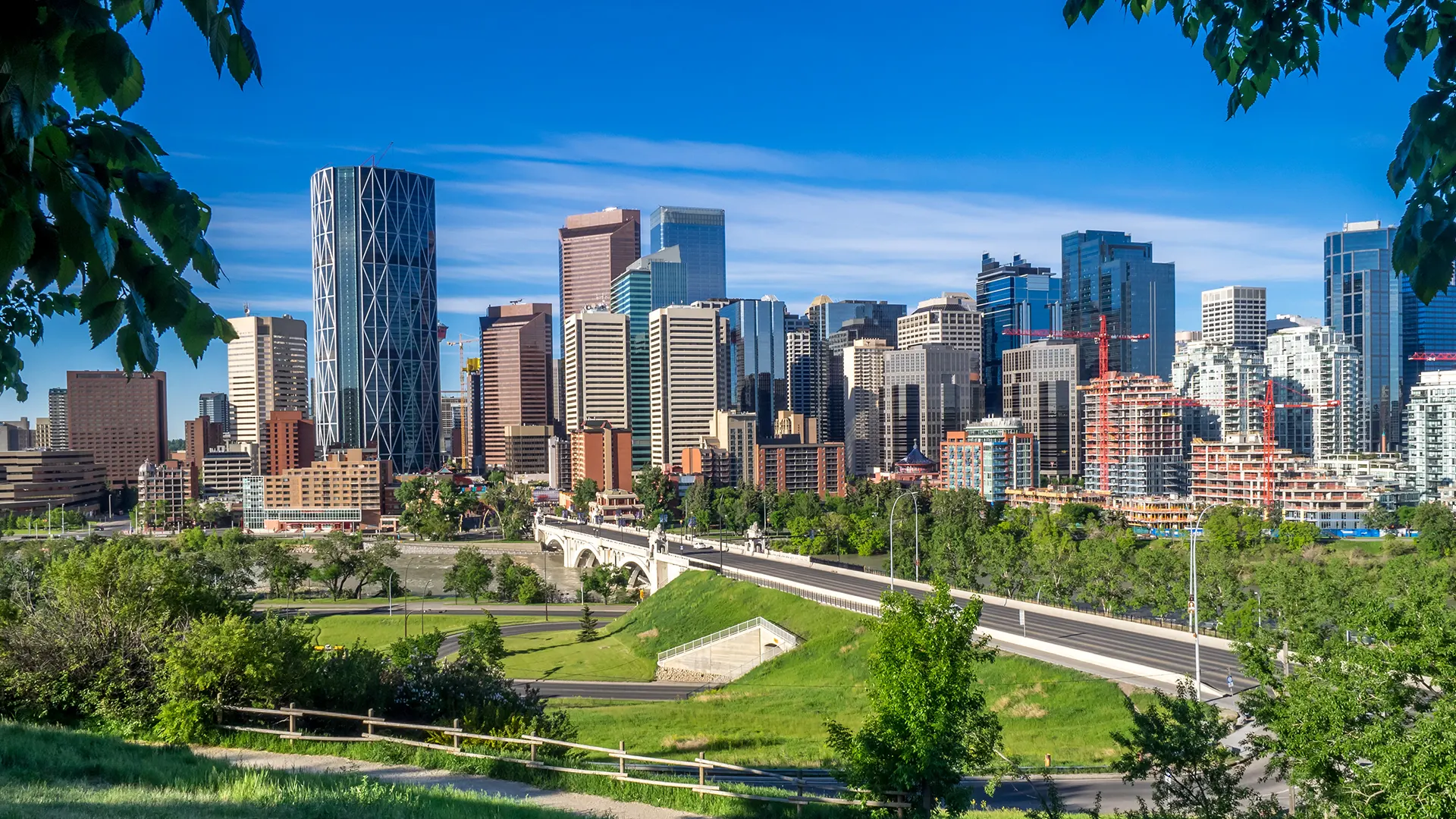 adam robinson calgary real estate